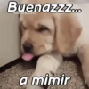 A mimir Zzz Perros 🐶😴 13