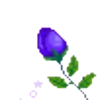 FLORES 26