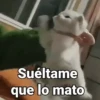 Suéltame que lo mato