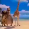 Memes animados Tiktok 26