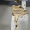 Tá muito calor!!🥵 14