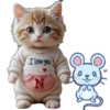 ABC(El Gato y el Ratón)💞1🇵🇪Movi 29