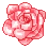 FLORES 27