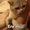 Ere mi@