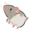 rata triste 9
