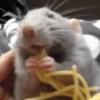 🐀 RATITAS PAL CHAT 🐀 14
