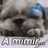 A mimir Zzz Perros 🐶😴 14