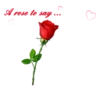 FLORES 30