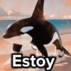 Estoy