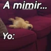 A mimir Zzz Perros 🐶😴 15