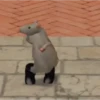 rata bailando Ratón Milton 🐀 14