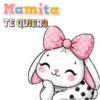 Linda conejita🎀💞1🇵🇪Movi 28