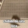rata triste 11