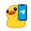 duck 2 mov 29