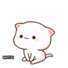 wontoe