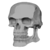 Skulls and bones 💀🦴 + 3 7