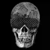 Skulls and bones 💀🦴 + 3 8
