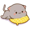 Love Cats 1 ❤️ 12