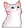 @GIFSTIKI ? POOP CAT ? ? :: 6