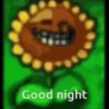 Good night