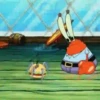 Sponge Bob 🧽 + 1 13