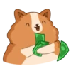 Hamster Bernard 11