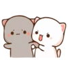 Love Cats 1 ❤️ 14