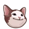 @GIFSTIKI ? POOP CAT ? ? :: 11