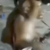 Monkeys 10