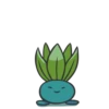 Animated Pokémon 11