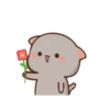 Peach Goma Cats 14