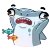 Tubarão martelo 10
