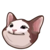 @GIFSTIKI ? POOP CAT ? ? :: 12