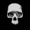 Skulls and bones 💀🦴 + 3 15