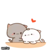 wontae 3 х
