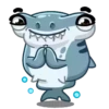 Tubarão martelo 11