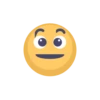 MR EMOJI- 6