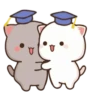 Peach & Goma 20