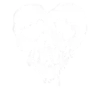 Skulls and bones 💀🦴 + 3 20