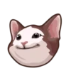 @GIFSTIKI ? POOP CAT ? ? :: 21