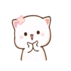 Peach Goma Cats 21