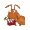 The Ants Pro 16