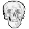 Skulls and bones 💀🦴 + 3 21