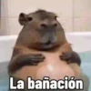 😎 ANIMADOS CON TEXTOS 😎 15