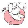 Dream Rabbit 🐰 @cocopry 9