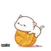wontoe