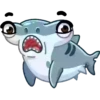 Tubarão martelo 15