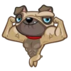 Fred the Pug 6