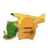 Pikachu 22