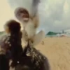 Monkeys 23